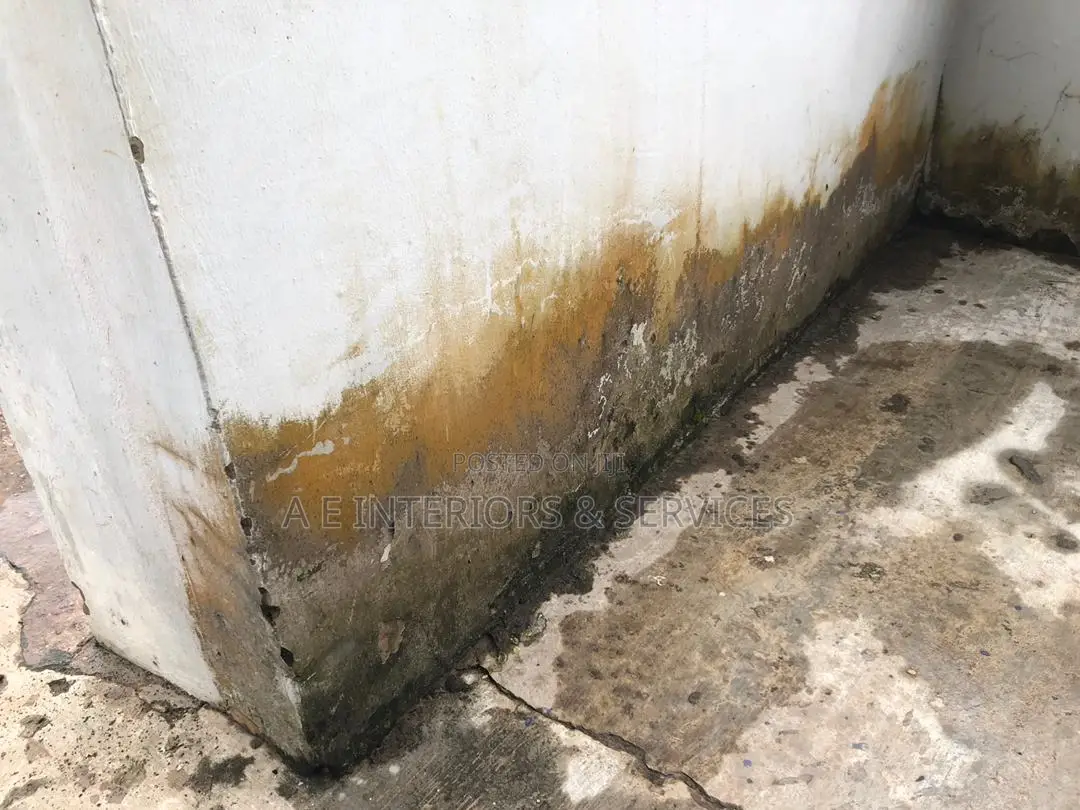 Wall Repairs