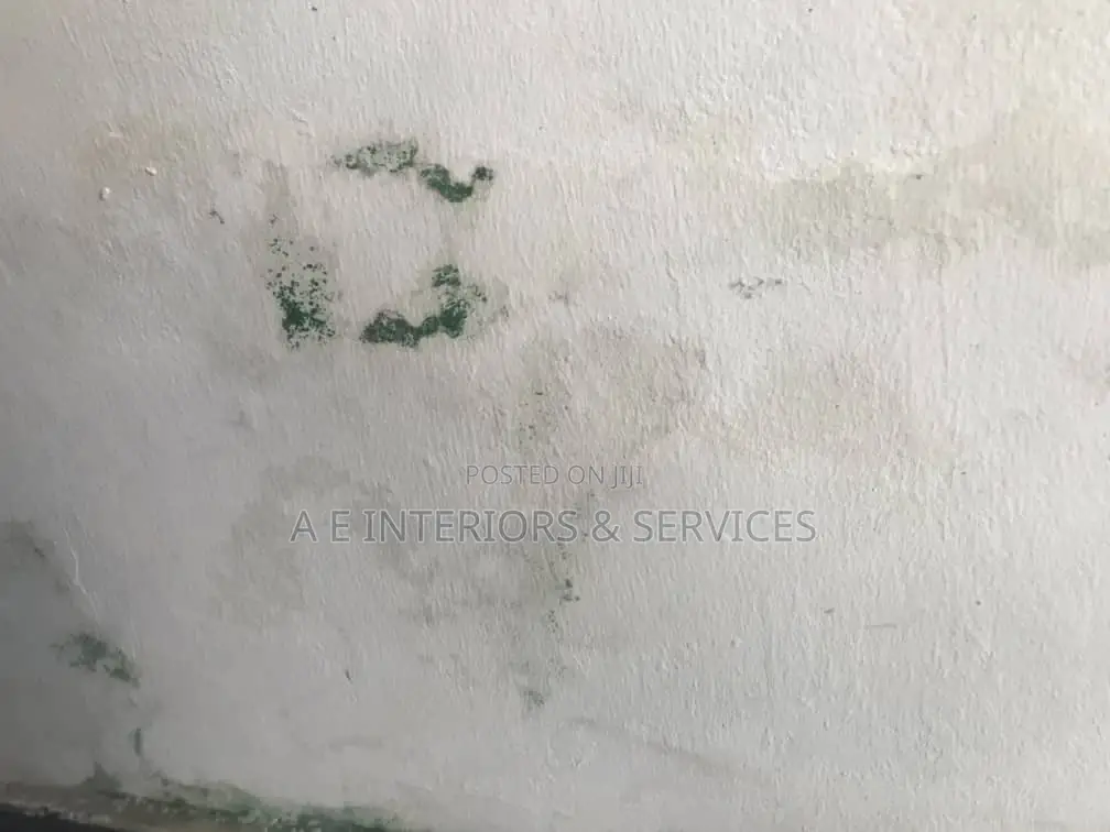 Wall Remedy