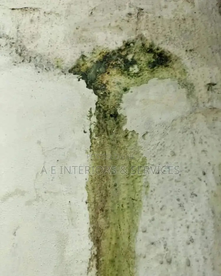 Defect Wall Restoration