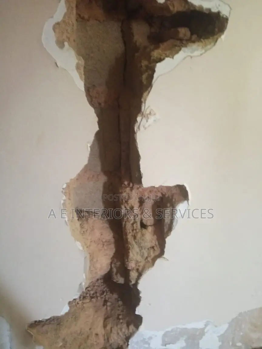 Wall Crack Repair Experts