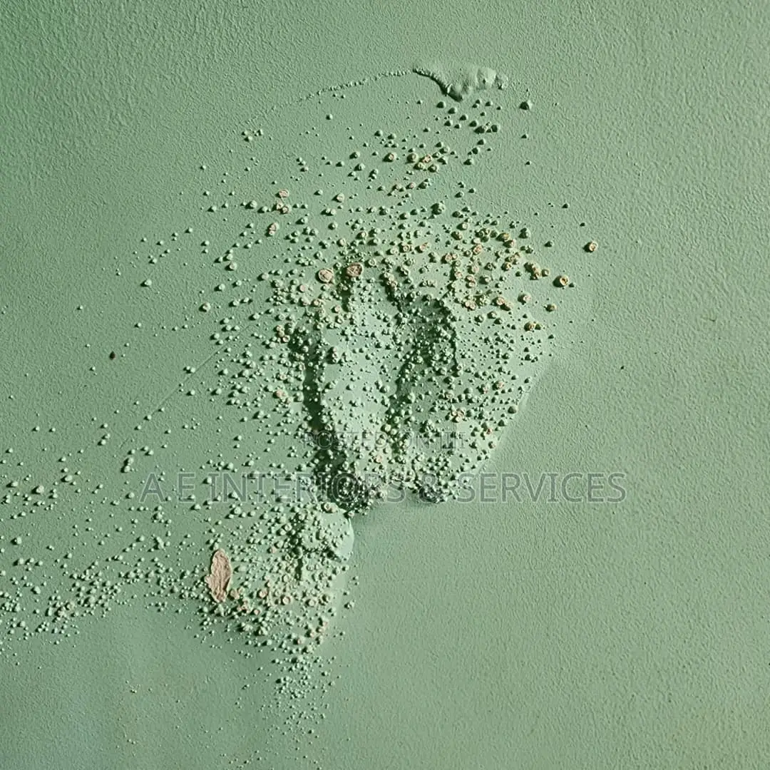 Crack and Dampness Repairers