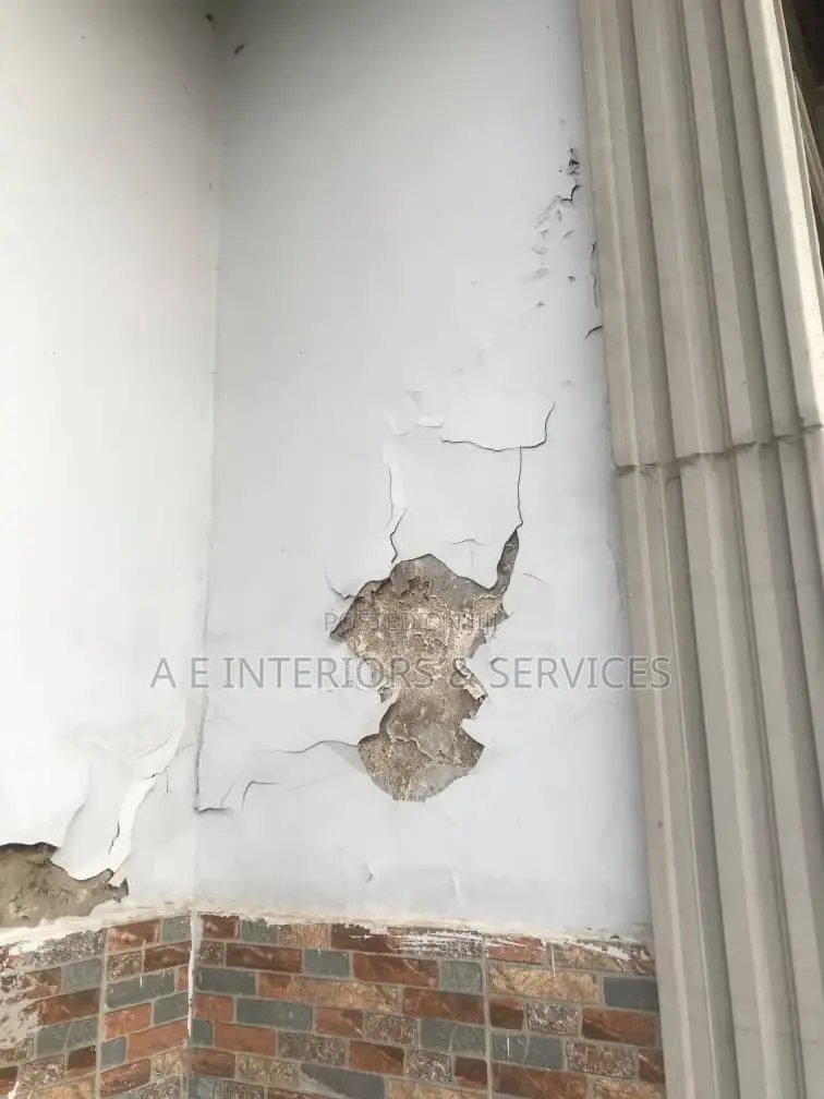 Crack and Dampness Repairers