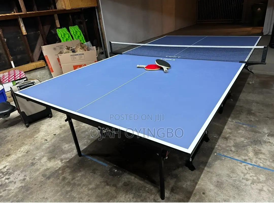 Mobile Table Tennis Indoor Board