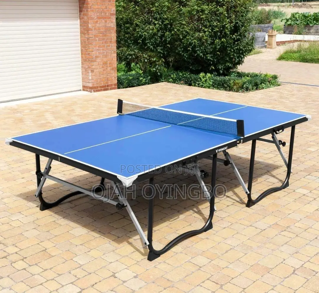 Mobile Table Tennis Indoor Board