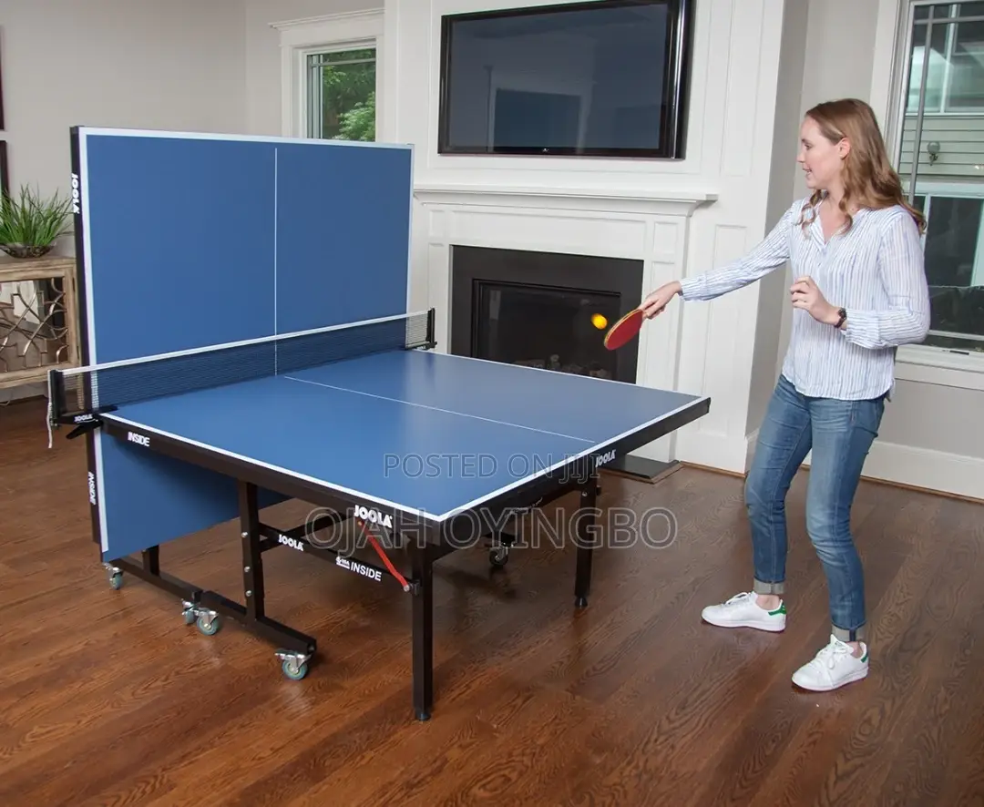 Mobile Table Tennis Indoor Board