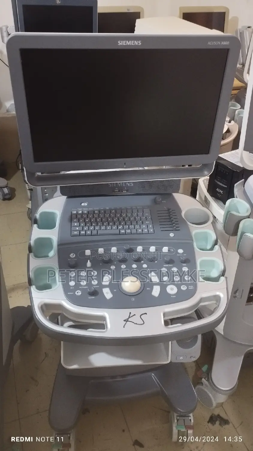 Siemens Acuson X600 (4D)