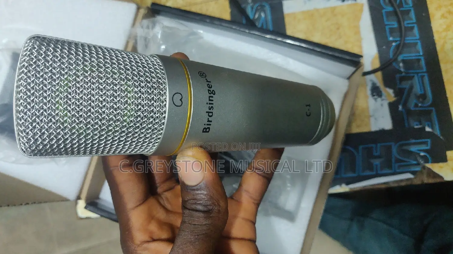 Studio Mic Biredsinger C1