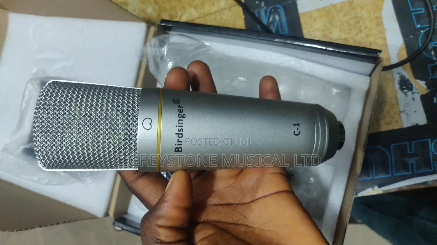 Studio Mic Biredsinger C1