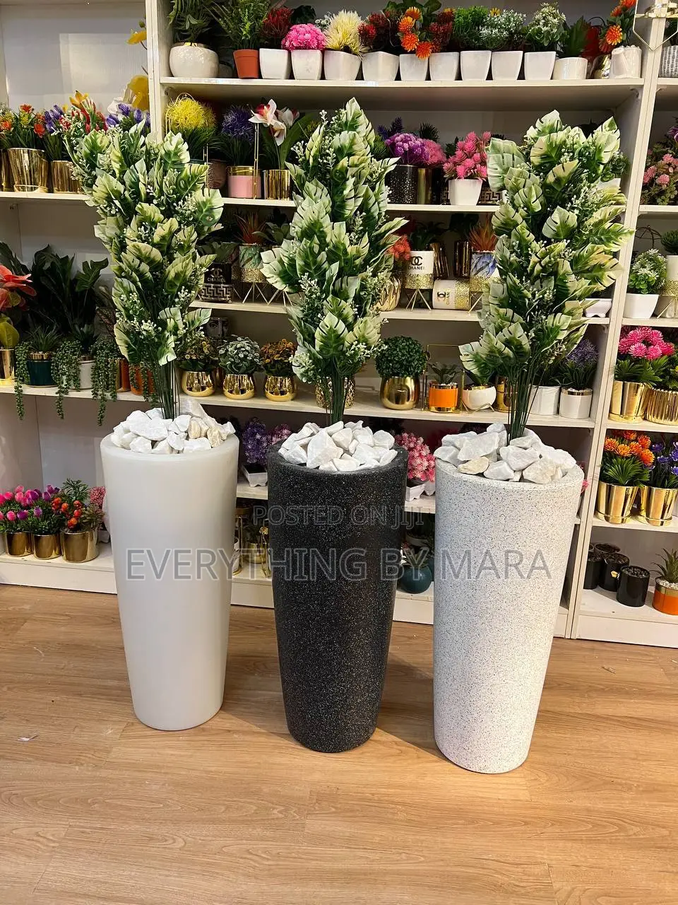 Potted Flower Plant
