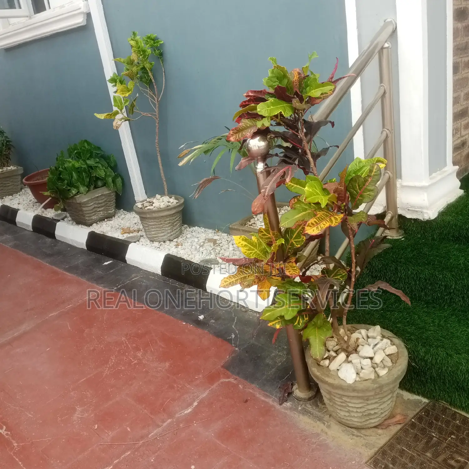 Concrete Potted Flower for Patio, Entrance Walkway, Varandah