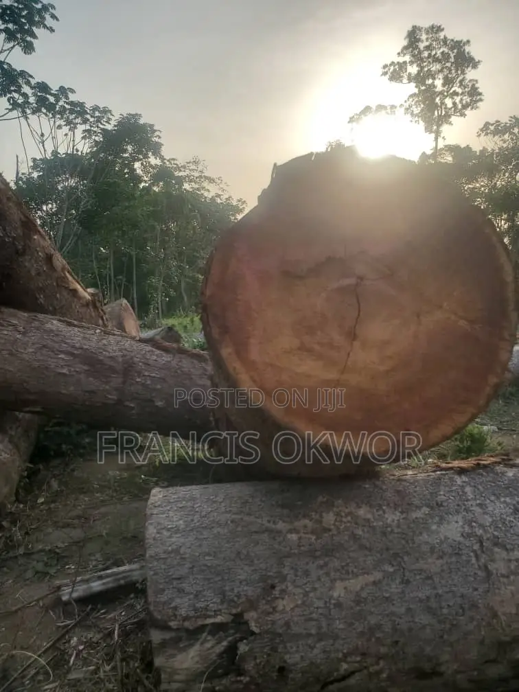 Opepe Wood Log