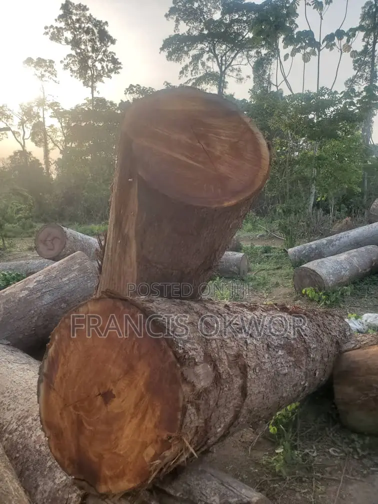 Opepe Wood Log