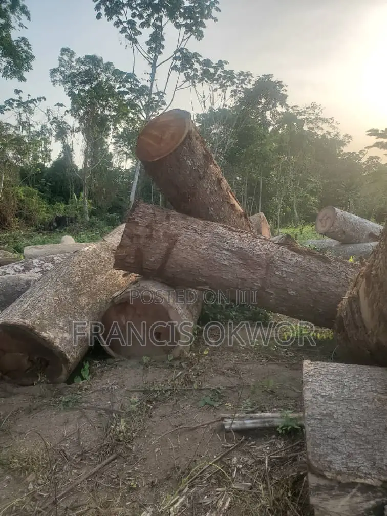 Opepe Wood Log