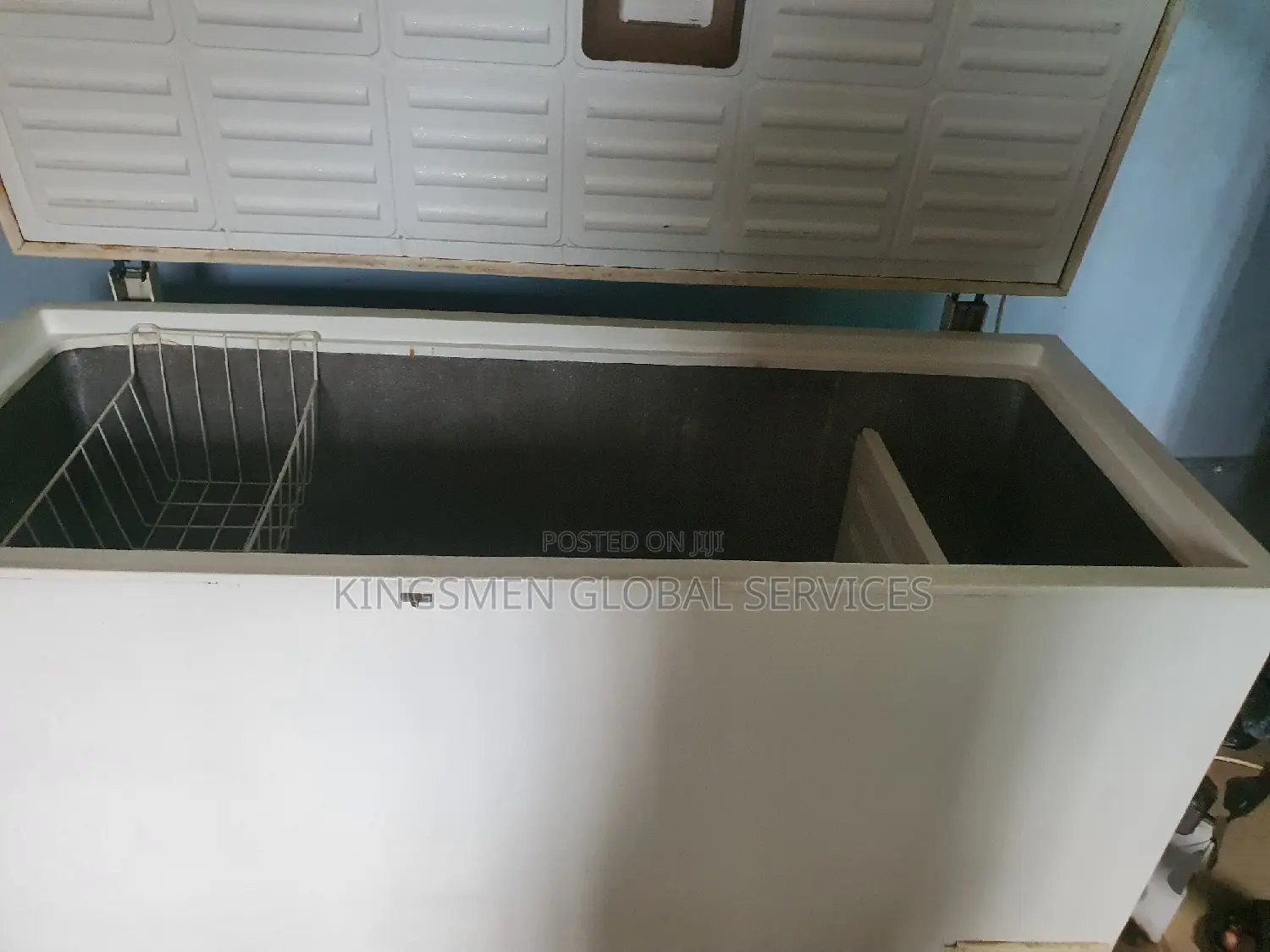 Deep Freezer for Frozen Food Business