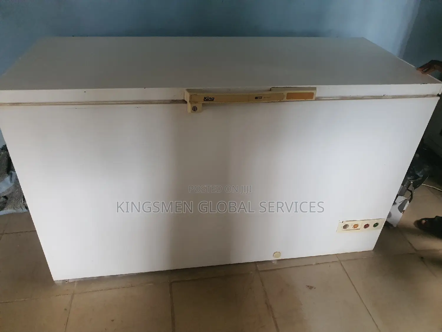 Deep Freezer for Frozen Food Business