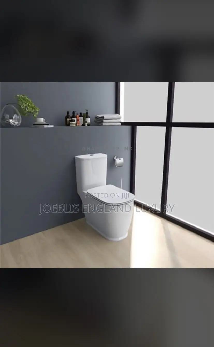 White Water Closet Back to Wall