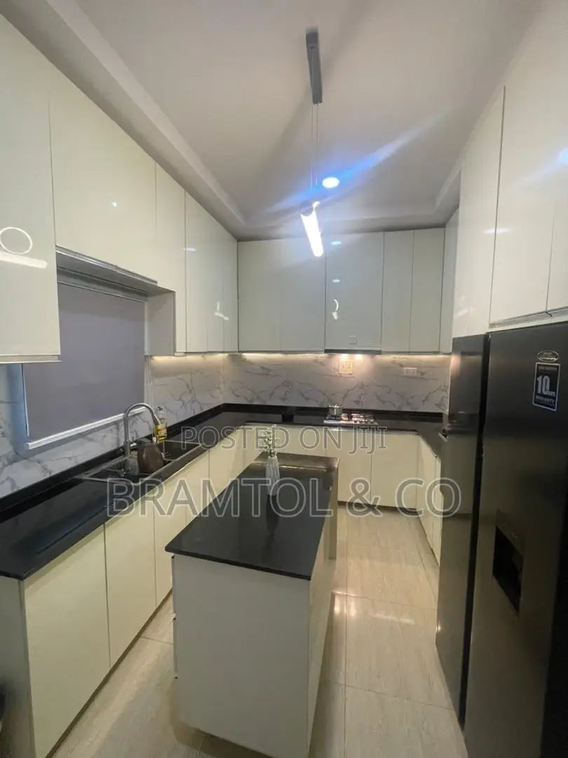 Furnished 4bdrm Duplex in Asokoro for rent