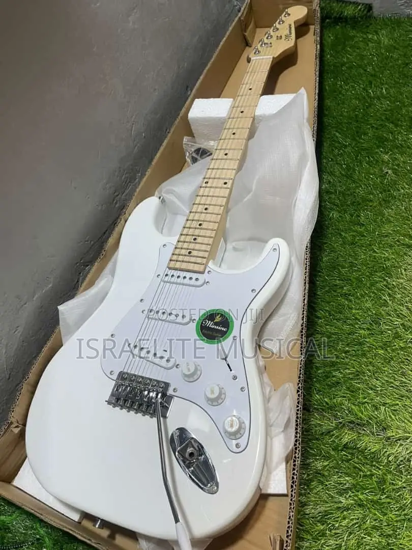 Professional Quality Lead Guitars