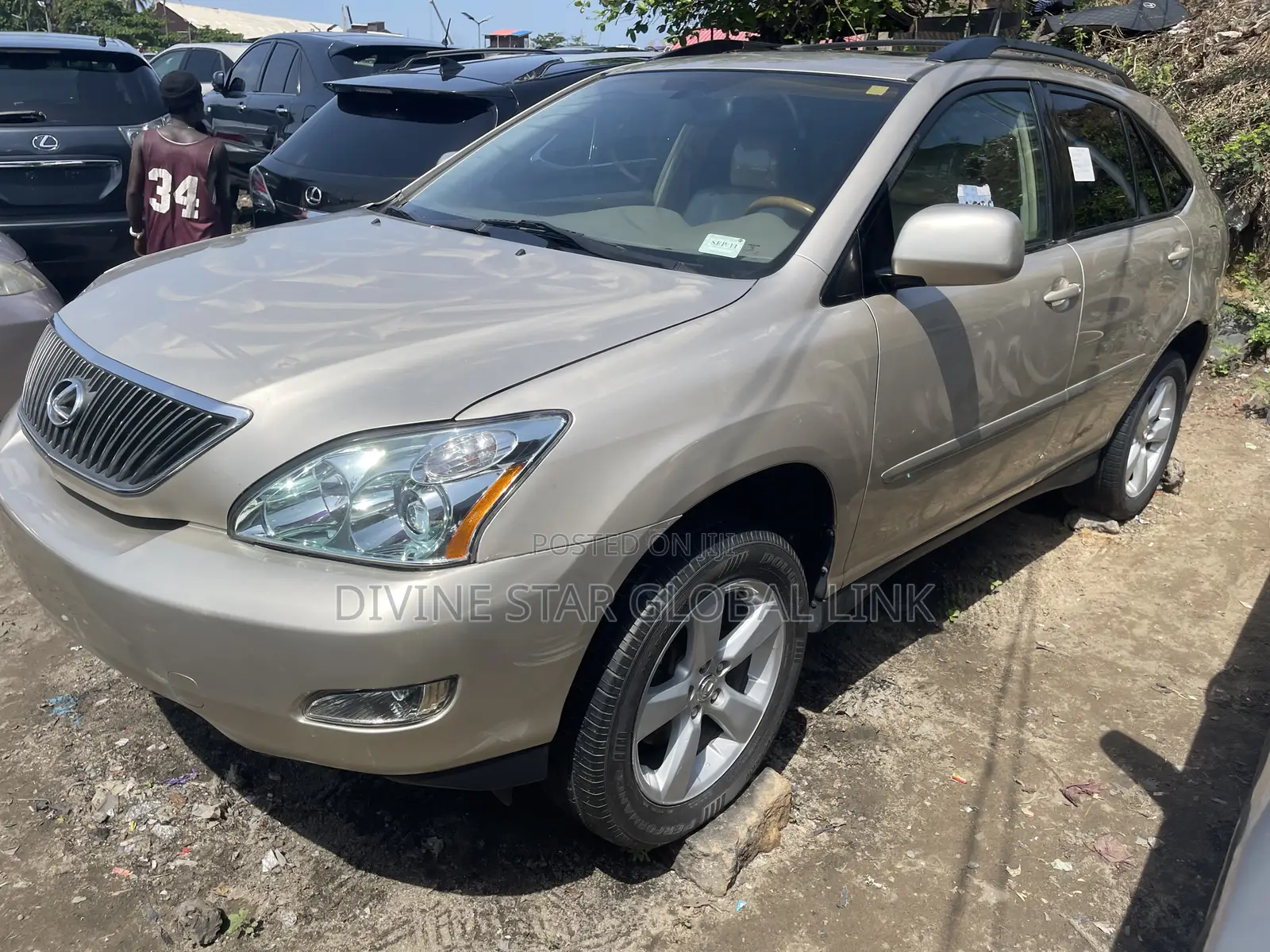 Lexus RX 330 2006 Gray