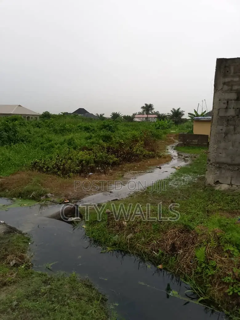 1 Full Plot of Land for Sale