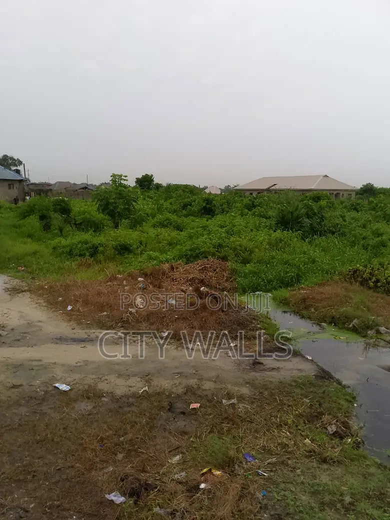 1 Full Plot of Land for Sale