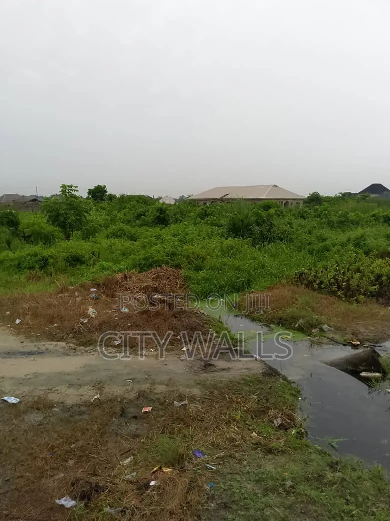 1 Full Plot of Land for Sale
