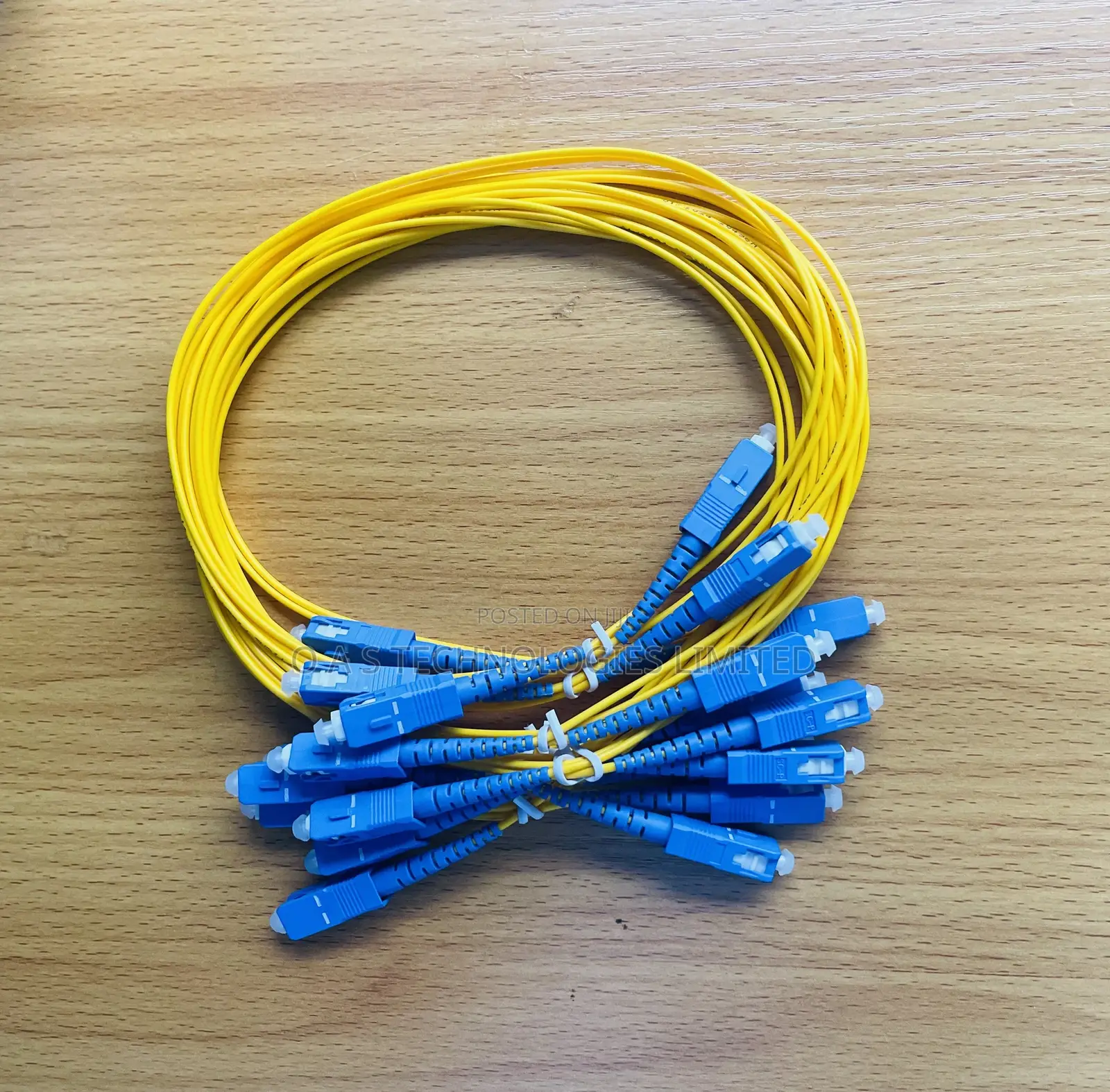 Fiber Optic Patch Cable Sc-Sc 1m Single Mode I