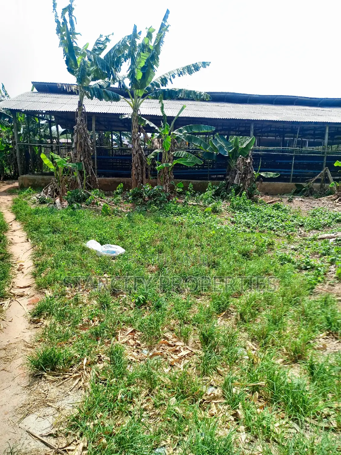 Farmlands for Sale at the Back of Tai Solarin Uni Ijebu Ode
