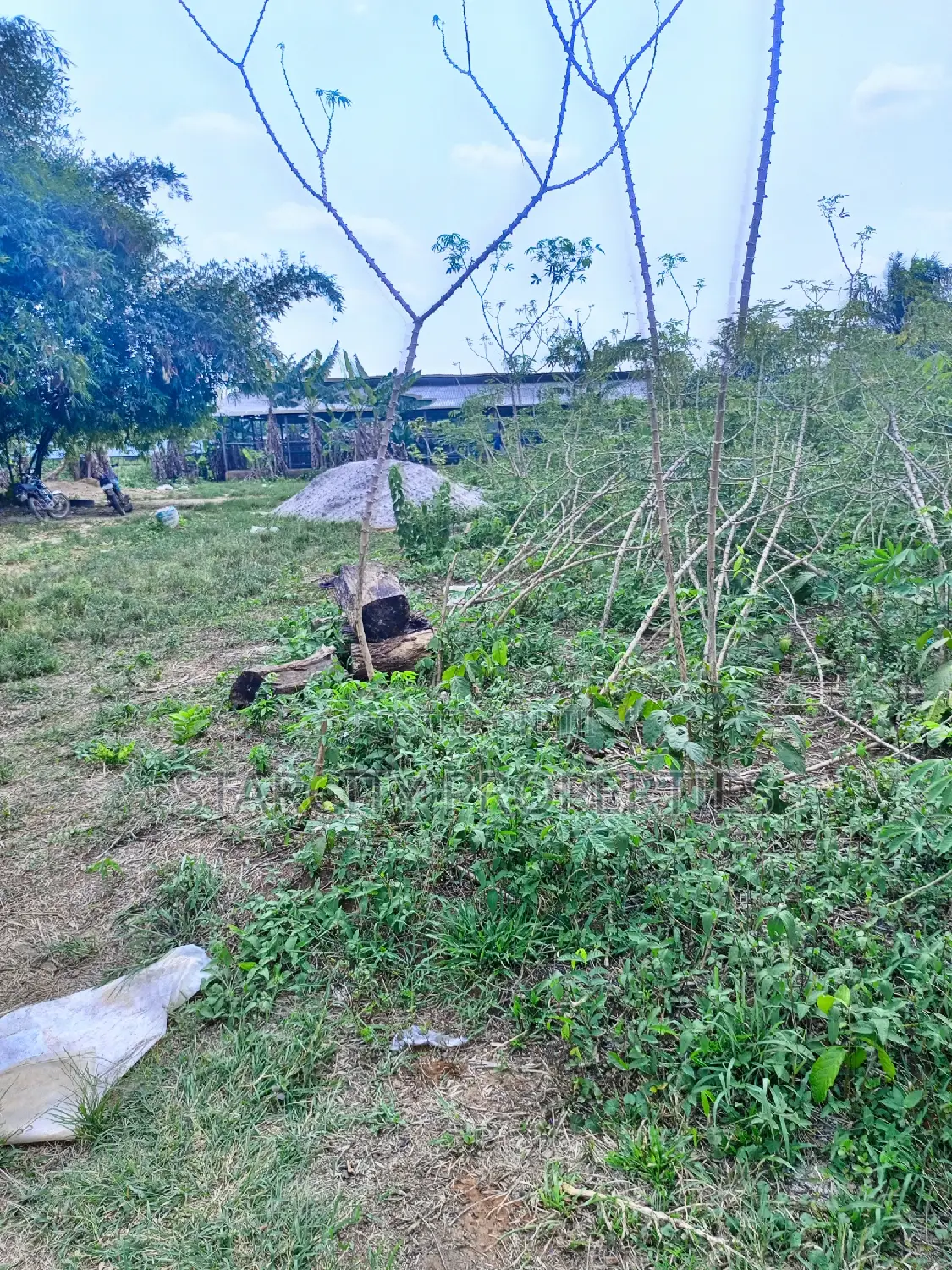 Farmlands for Sale at the Back of Tai Solarin Uni Ijebu Ode