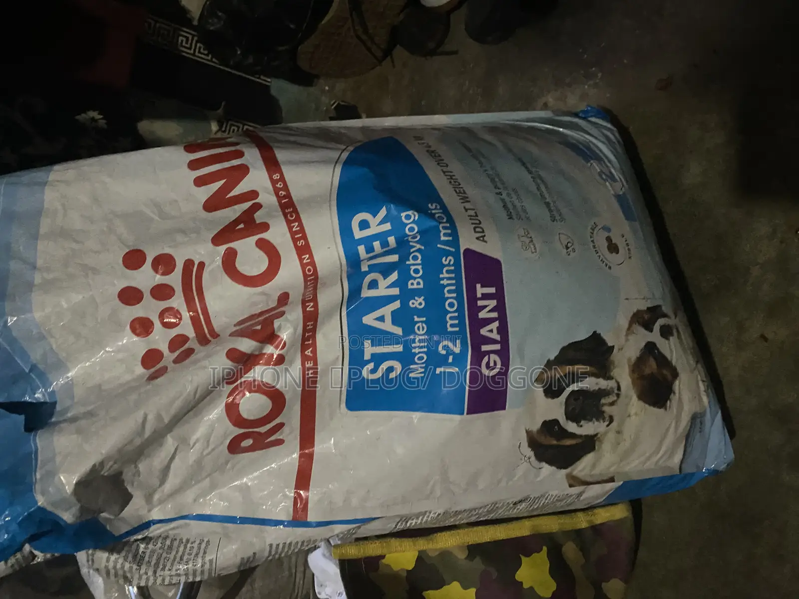 Royal Canine Dry Food Giant Starter Mother and Child