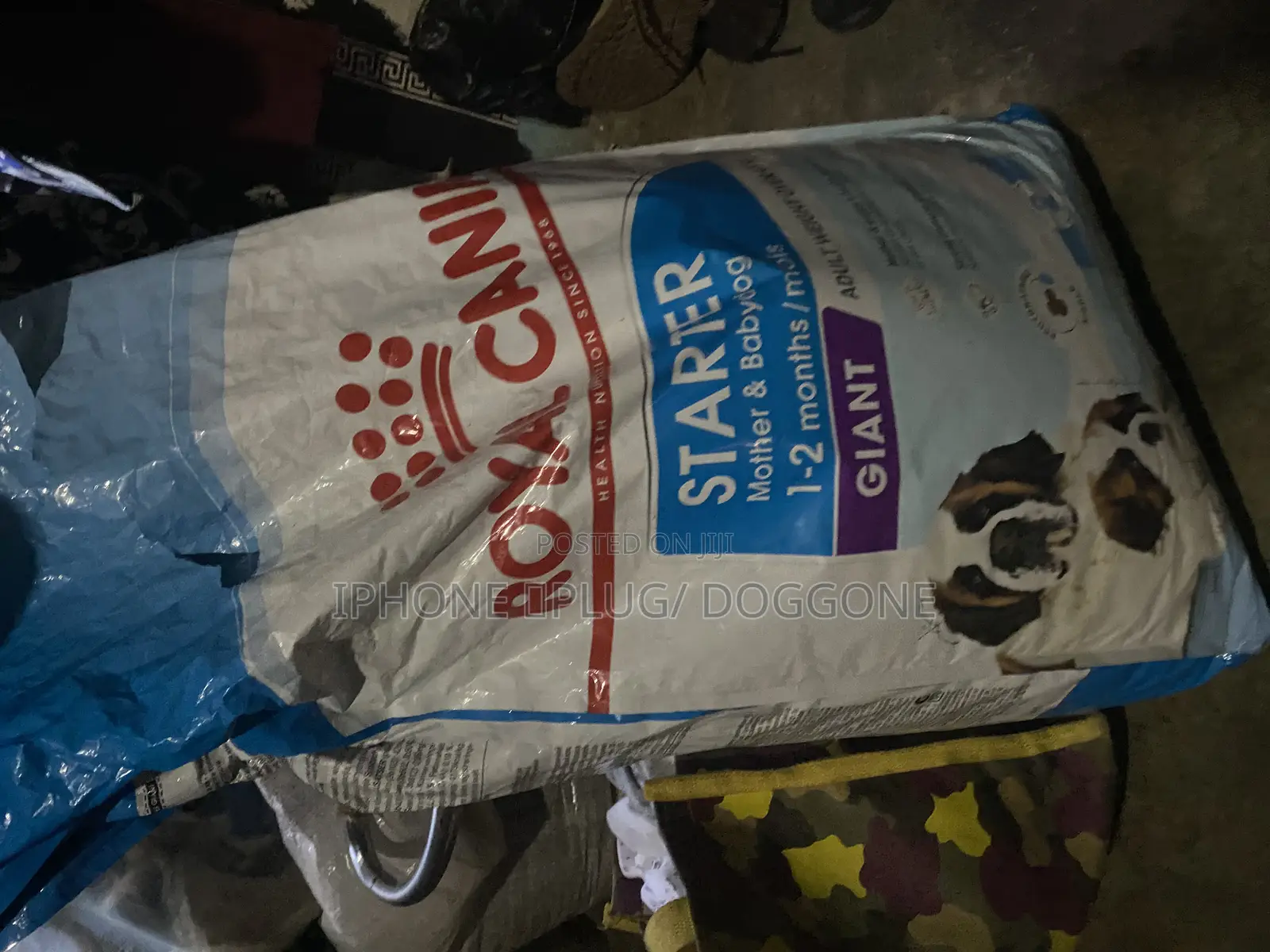 Royal Canine Dry Food Giant Starter Mother and Child