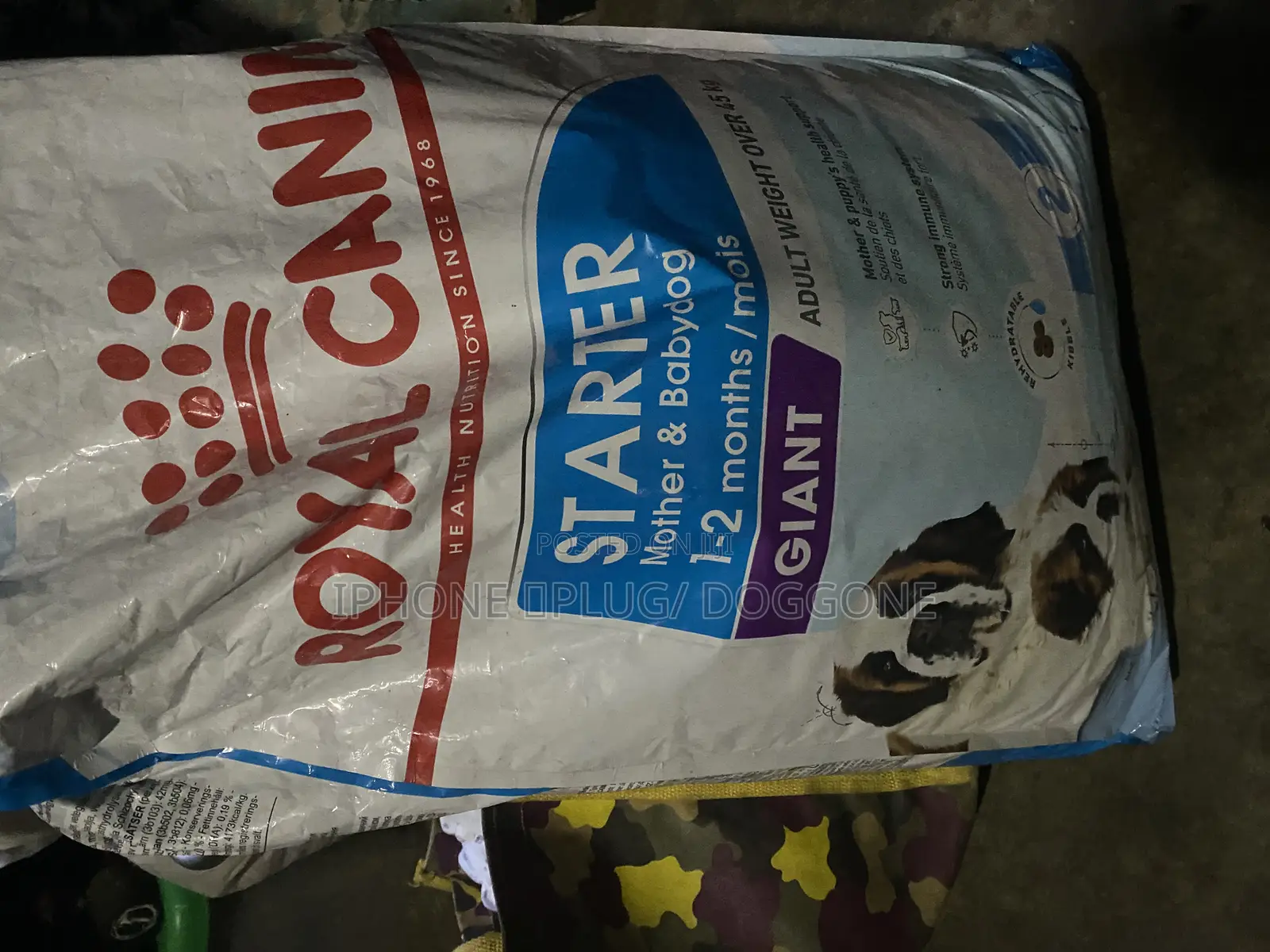 Royal Canine Dry Food Giant Starter Mother and Child