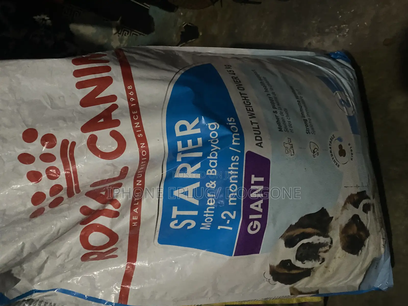 Royal Canine Dry Food Giant Starter Mother and Child