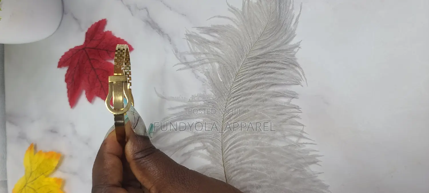 Beautiful Female Bangle