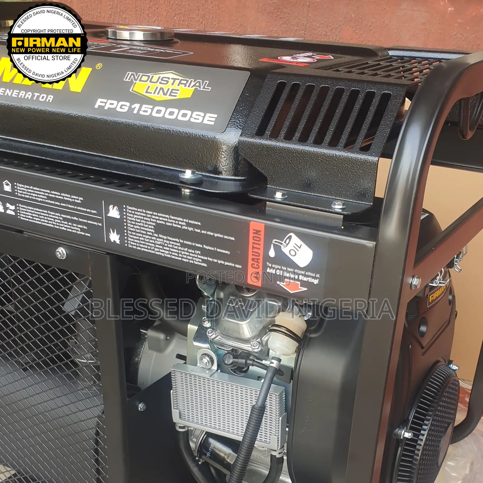 Firman Fpg15000se, 12kva Key Starter Petrol Generator