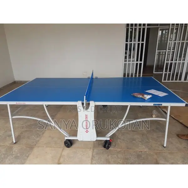 Movable Indoor Tennis Board