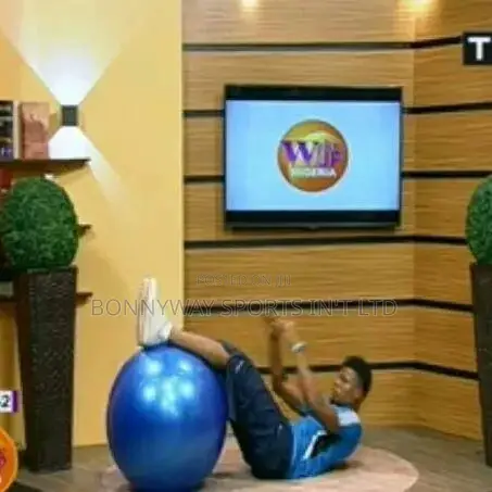 Plan Gymnastic Fitness Ball