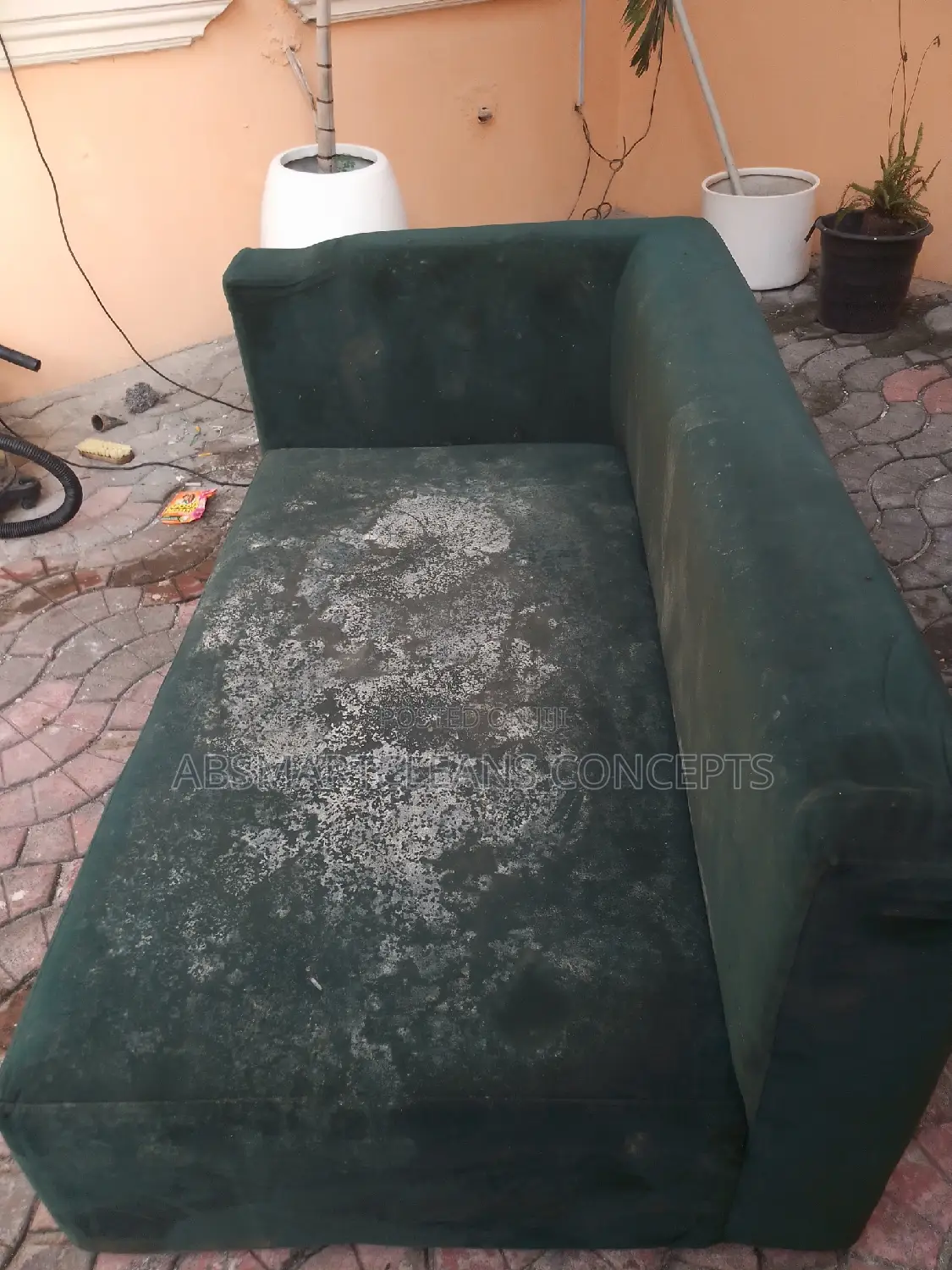 Rug and Couch Cleaning