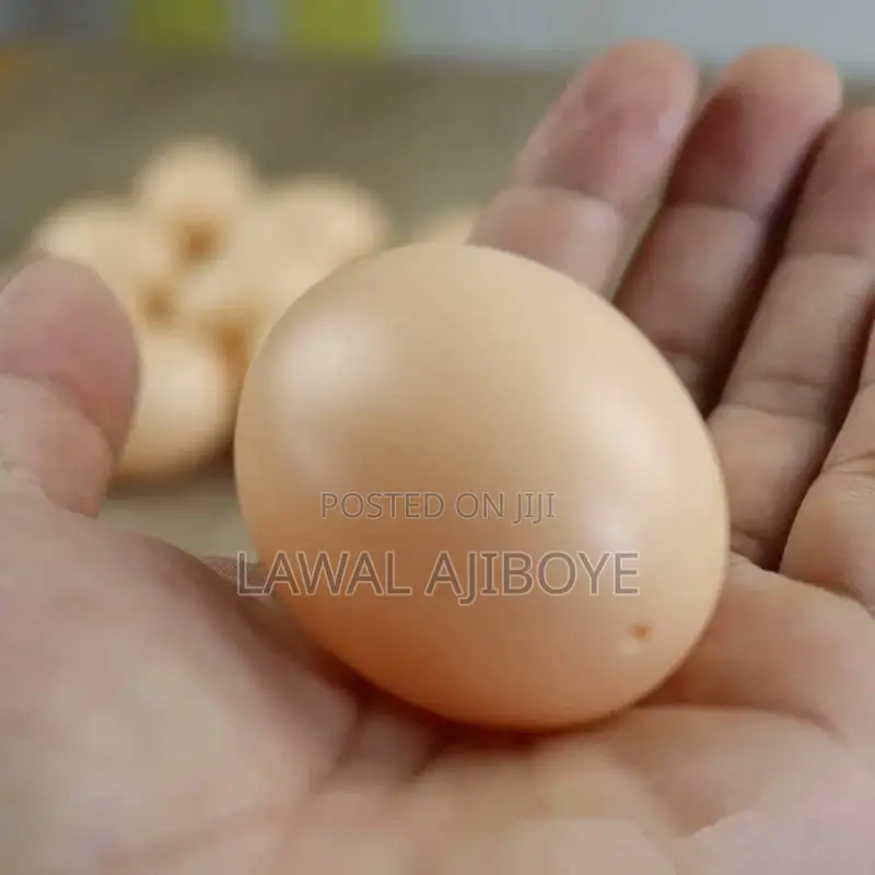 30pcs Fake Eggs Toys For Children Kitchen Simulation Egg Mod