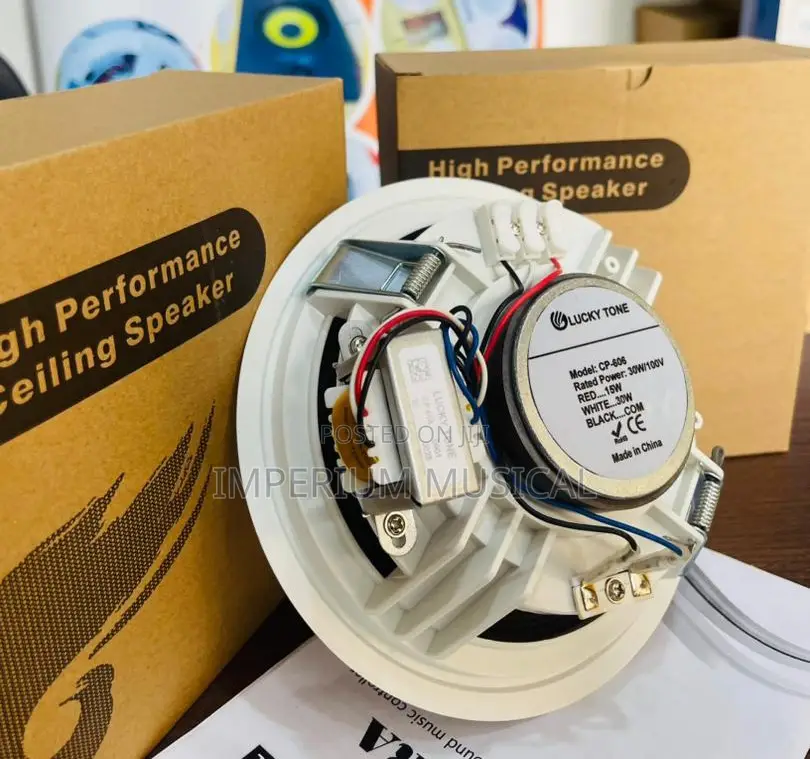 Lucky Tone High Performance Ceiling Speakers