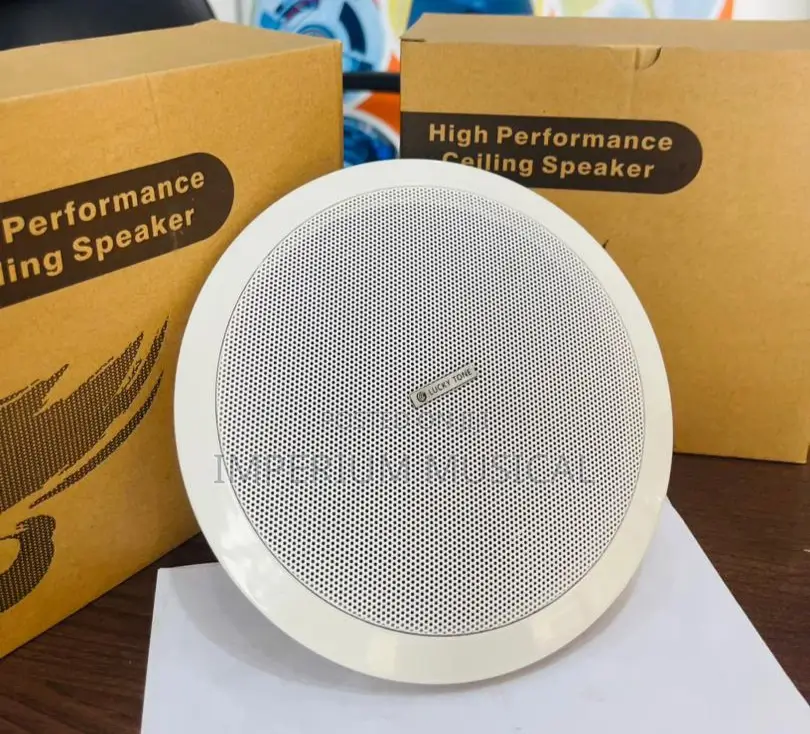 Lucky Tone High Performance Ceiling Speakers