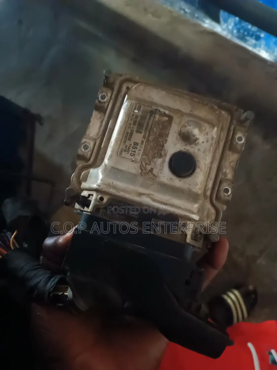 Brainbox for Kia and Hyundai R1
