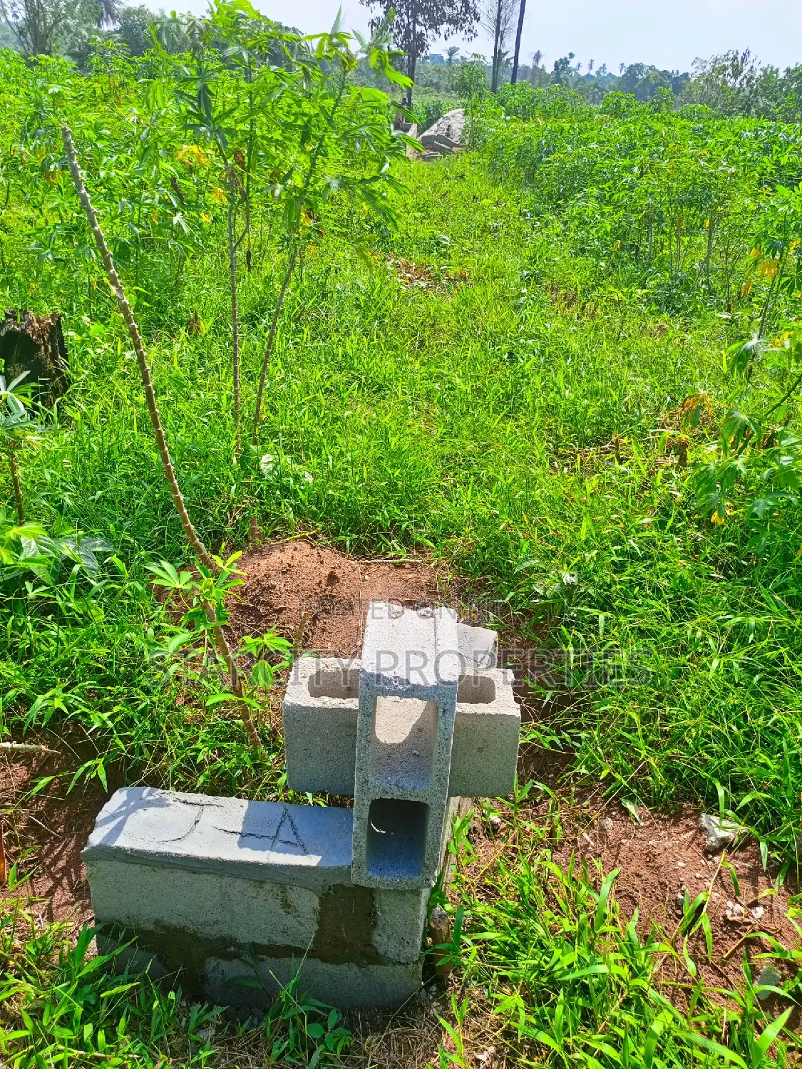Buy and Build Land 4 Plots in Imota Ikd Close to Caleb Uni