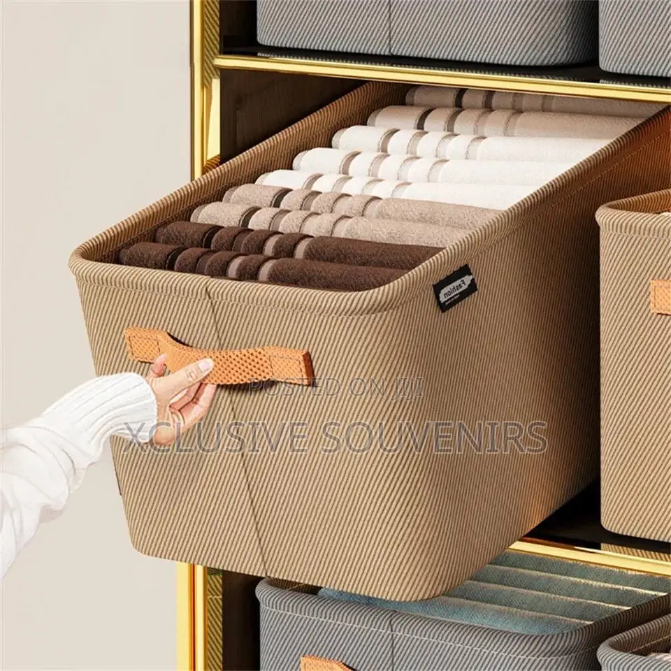 Collapsible Clothing Organizer Closet