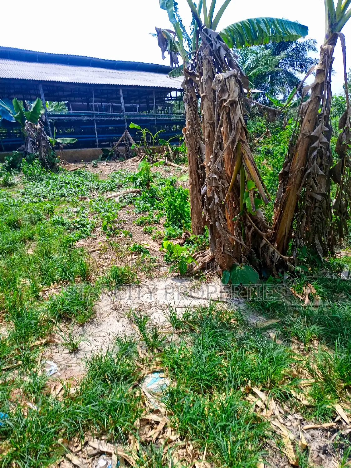 Farmland for Sale in Owode via Interchange by Isiun Junction