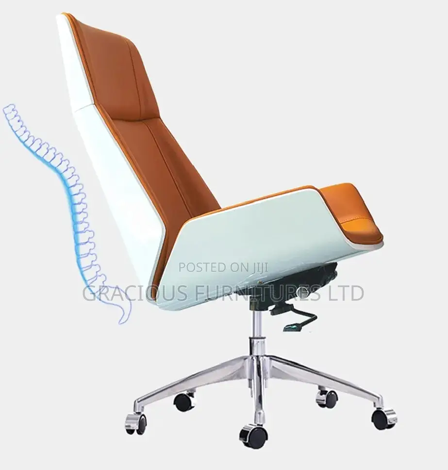 Luxury Executive Office Chair
