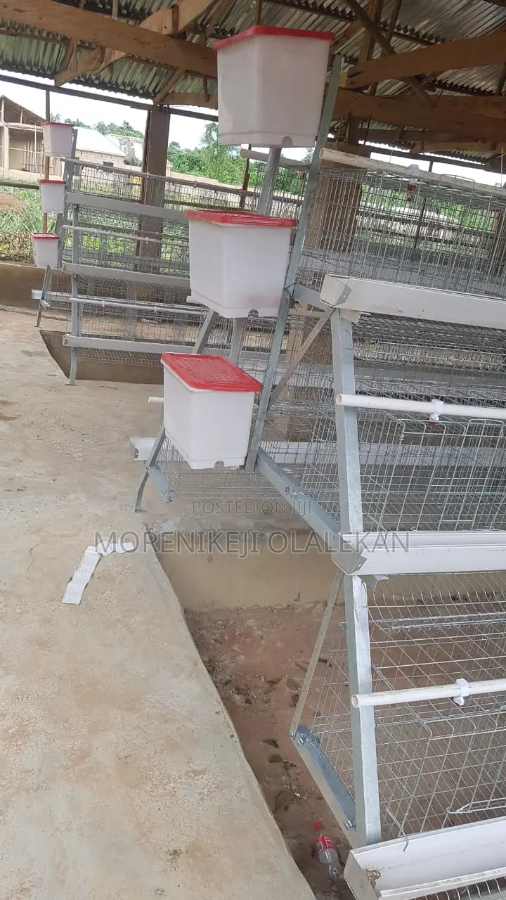 Hot Dipped Galvanized Imported Layers Cage 120birds