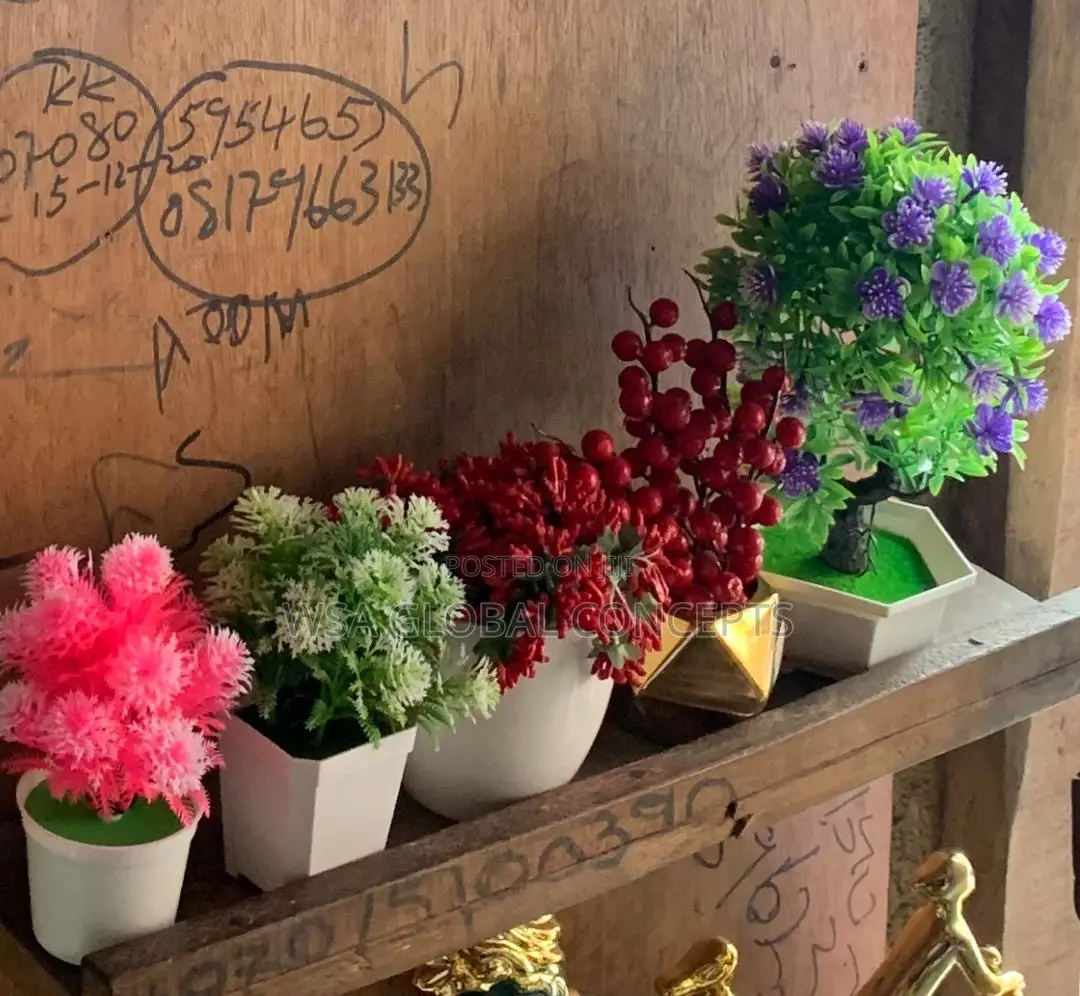 Beautiful Flower Pots