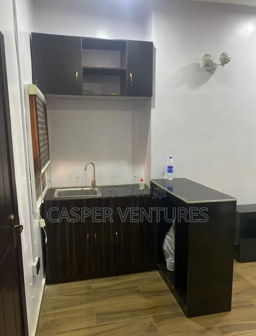 Studio Apartment in Victory Park, Osapa london for rent