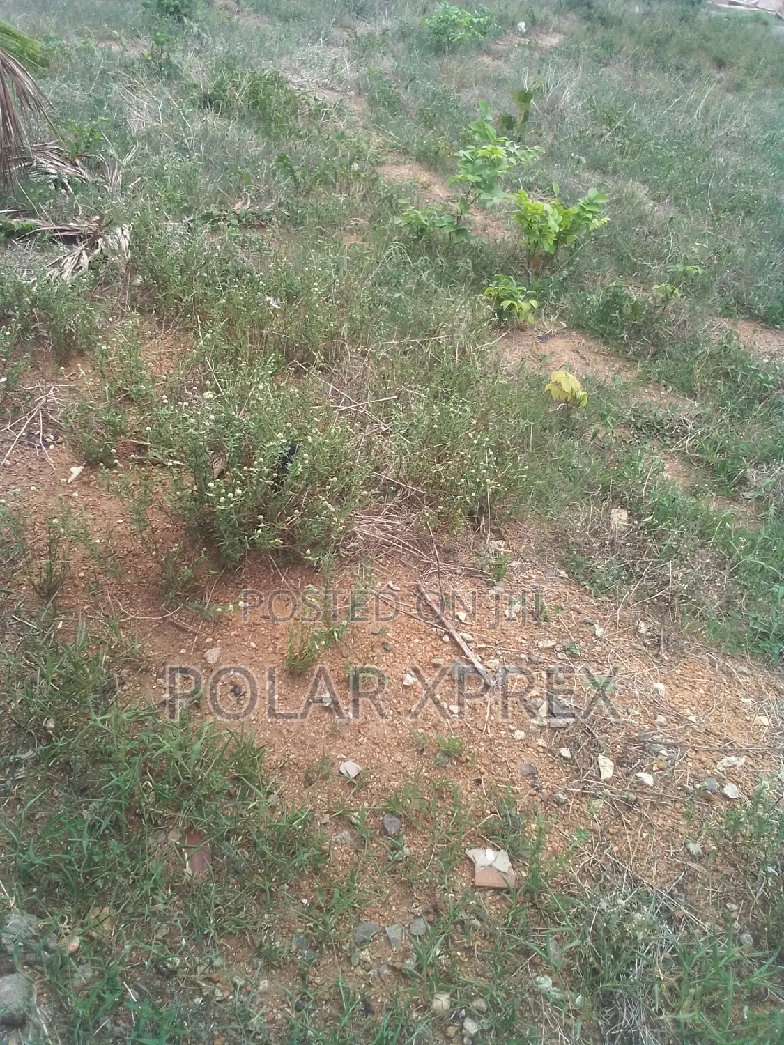 500 Square Metres Plot of Land in Fo1 for Sale